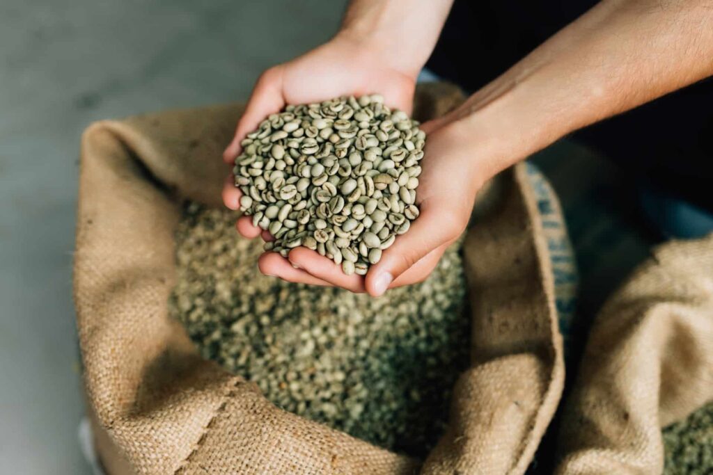 Green Coffee Prices & Buying Guide