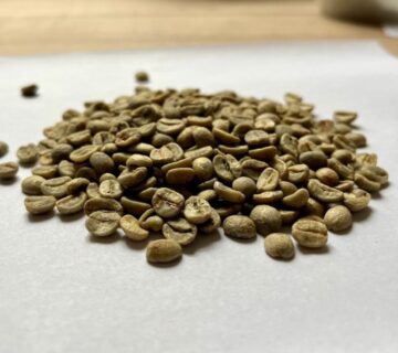 Green Coffee Quality, Processing & Buyer Selection