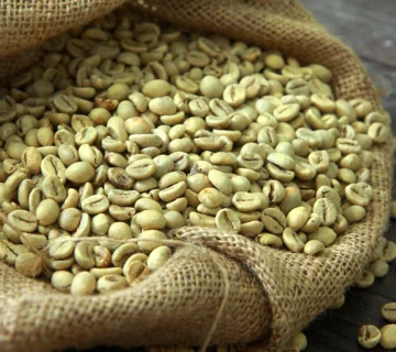 Green Coffee Beans by Origin