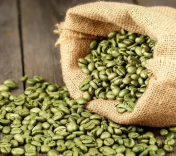 Green Coffee