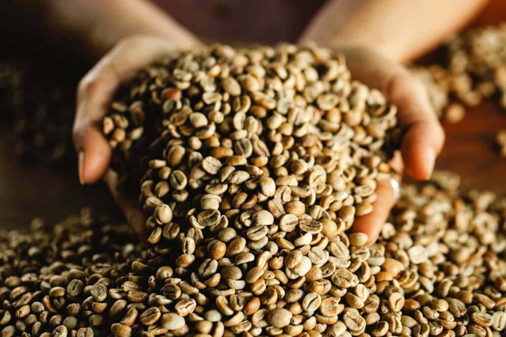 Green Coffee Beans by Origin