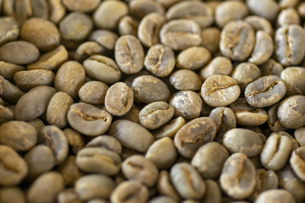 Green Coffee Grades and Specifications