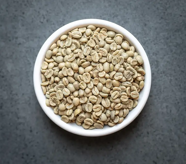 Honduras SHG & HG Green Coffee Beans Supplier
