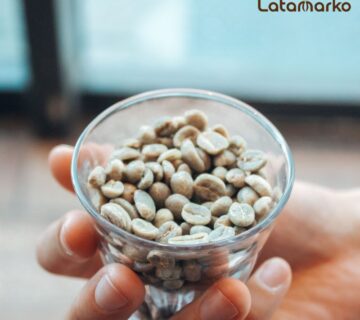 India Plantation Arabica Green Coffee Beans