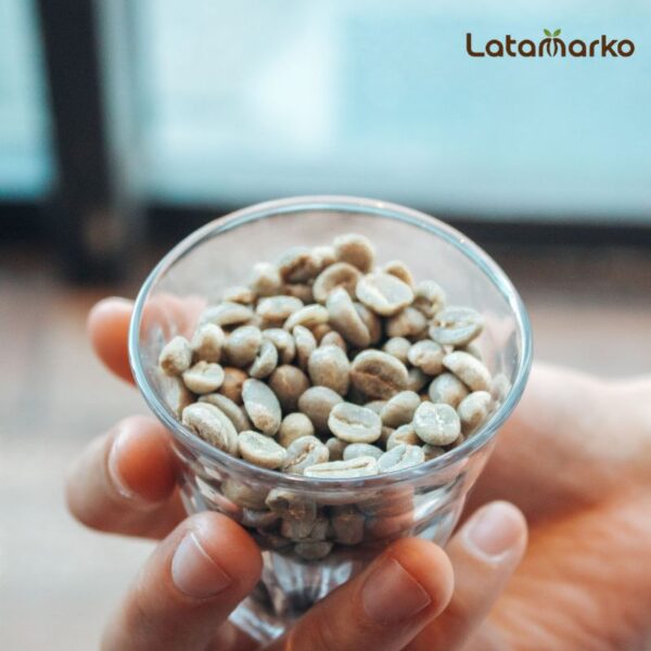 India Plantation Arabica Green Coffee Beans