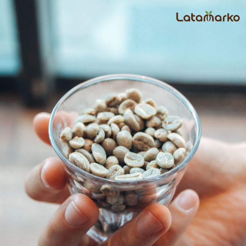 India Plantation Arabica Green Coffee Beans