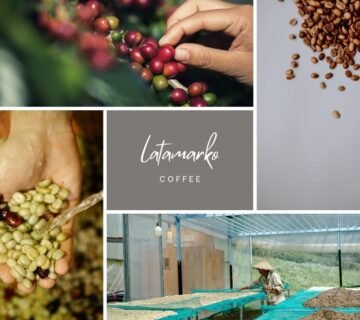 India Robusta Cherry AA Green Coffee Beans Supplier
