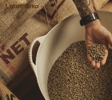 Ethiopian Arabica green coffee beans