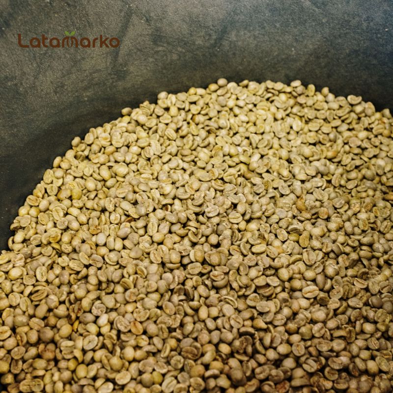 India Plantation Arabica Green Coffee Beans