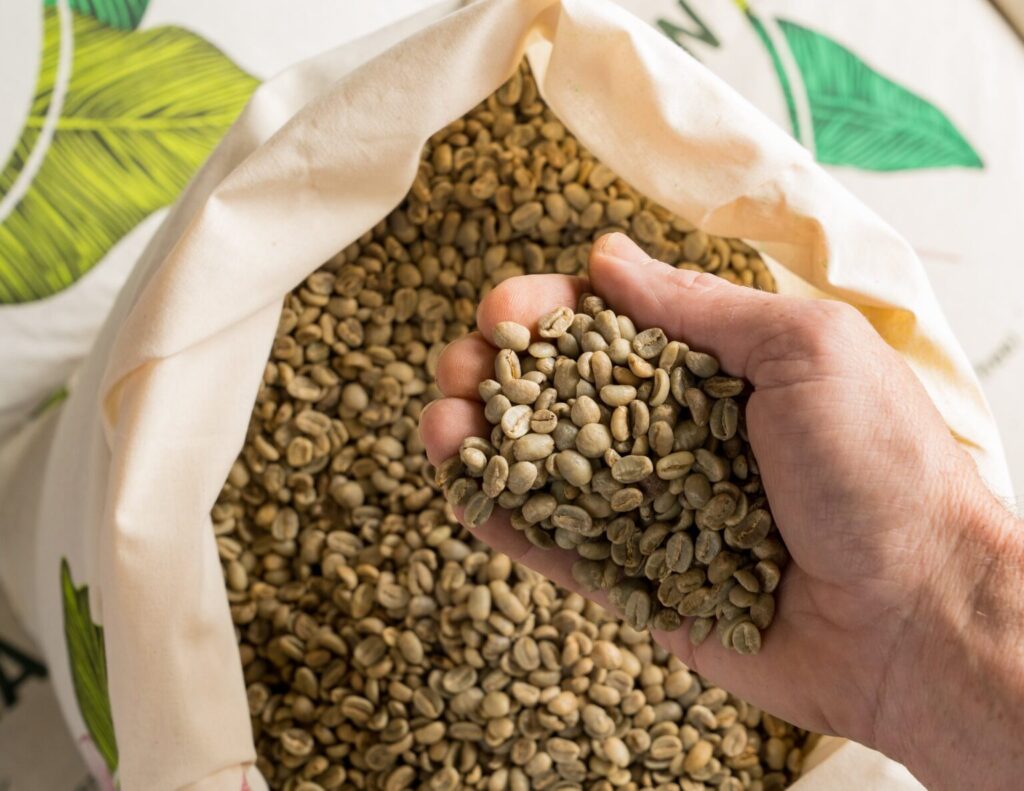 Brazilian Green Coffee Beans Supplier in Türkiye