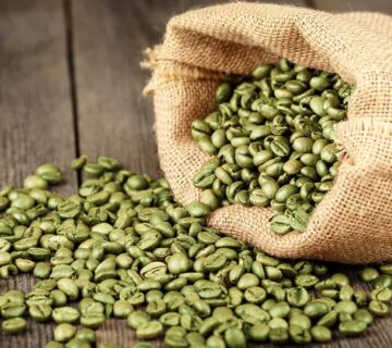 Green Coffee Beans for Coffee Roasters