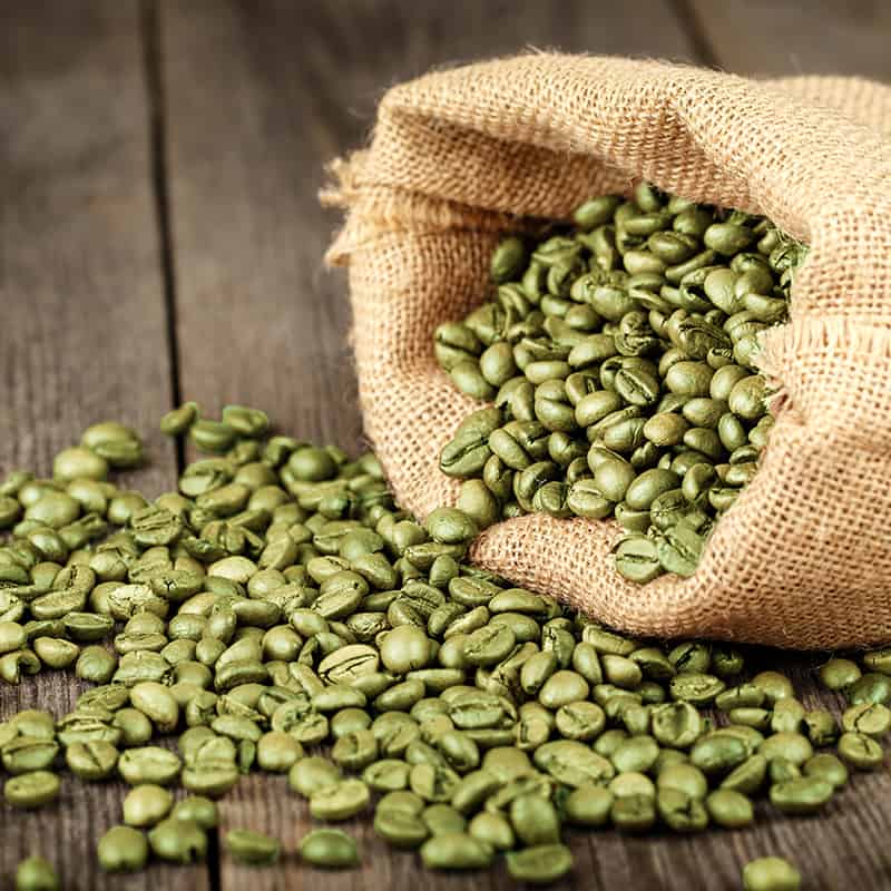 Green Coffee Beans for Coffee Roasters