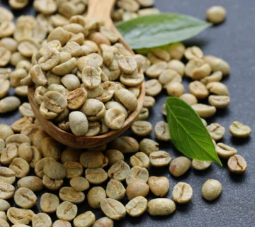 Uganda Robusta Green Coffee Beans Supplier