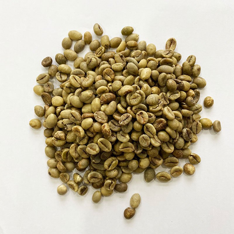 Vietnam Wet-Polished & Fine Robusta Green Coffee Beans