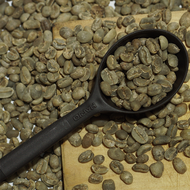 Green Coffee Beans by Container: FCL Supply from Türkiye