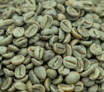 Green Coffee Beans