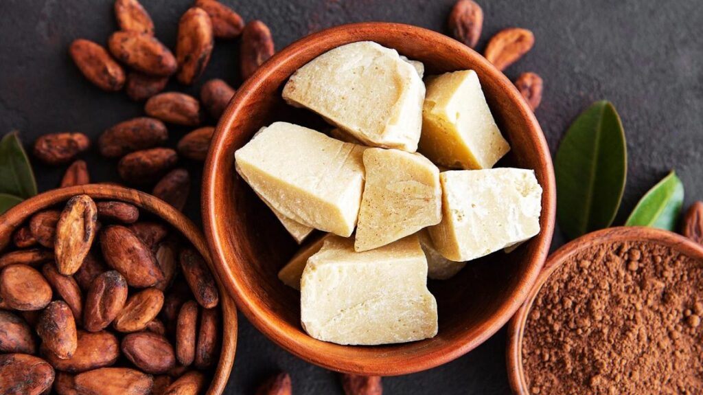 Cocoa Butter Substitute CBS for Chocolate Manufacturing Industry