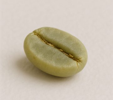 Vietnam Green Coffee Beans Supplier in Türkiye