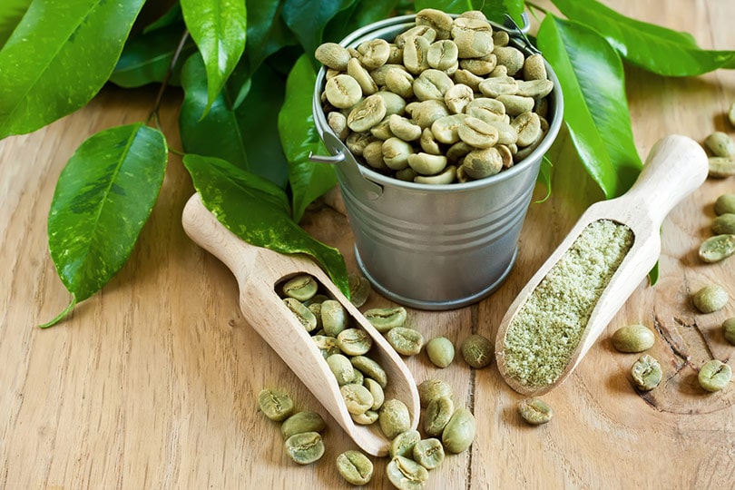 Green Coffee Beans for Coffee Roasters
