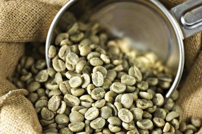 Green Coffee Beans