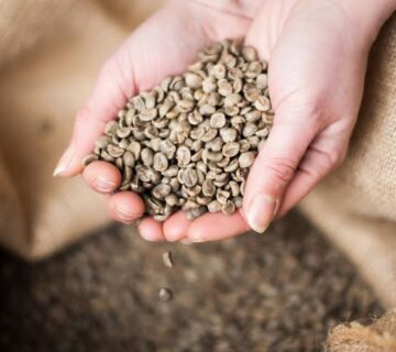 Uganda Green Coffee Beans