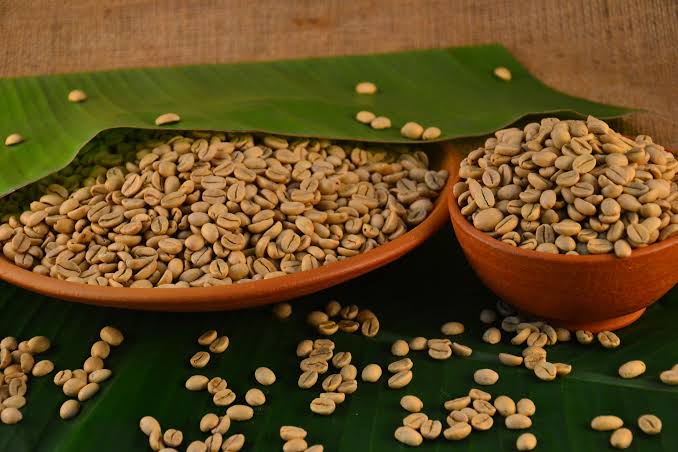 India Robusta Parchment Arabica Cherry & Monsooned Malabar Coffee