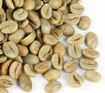 Green Coffee Beans Supplier in Türkiye for Global B2B Buyers