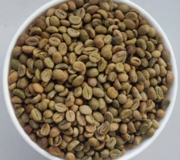 India Robusta Parchment Arabica Cherry & Monsooned Malabar Coffee