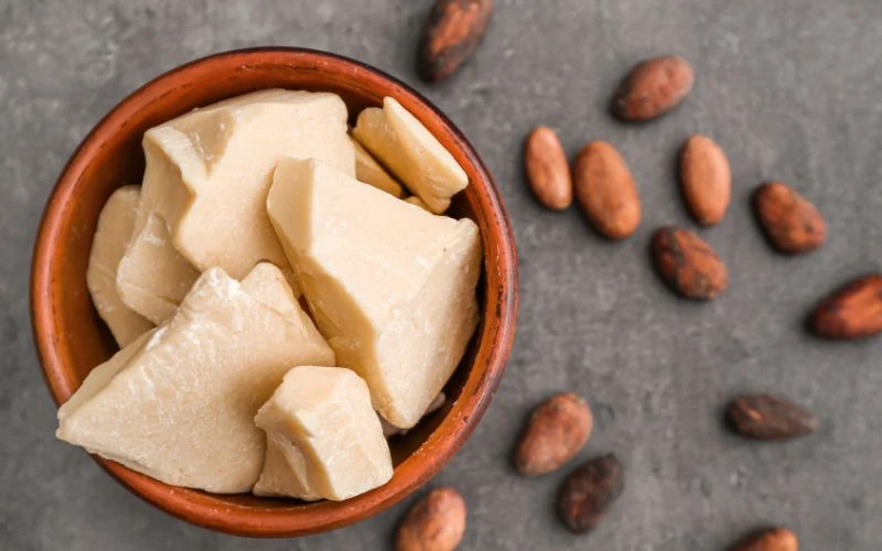 Cocoa Butter Substitute CBS for Chocolate Manufacturing Industry