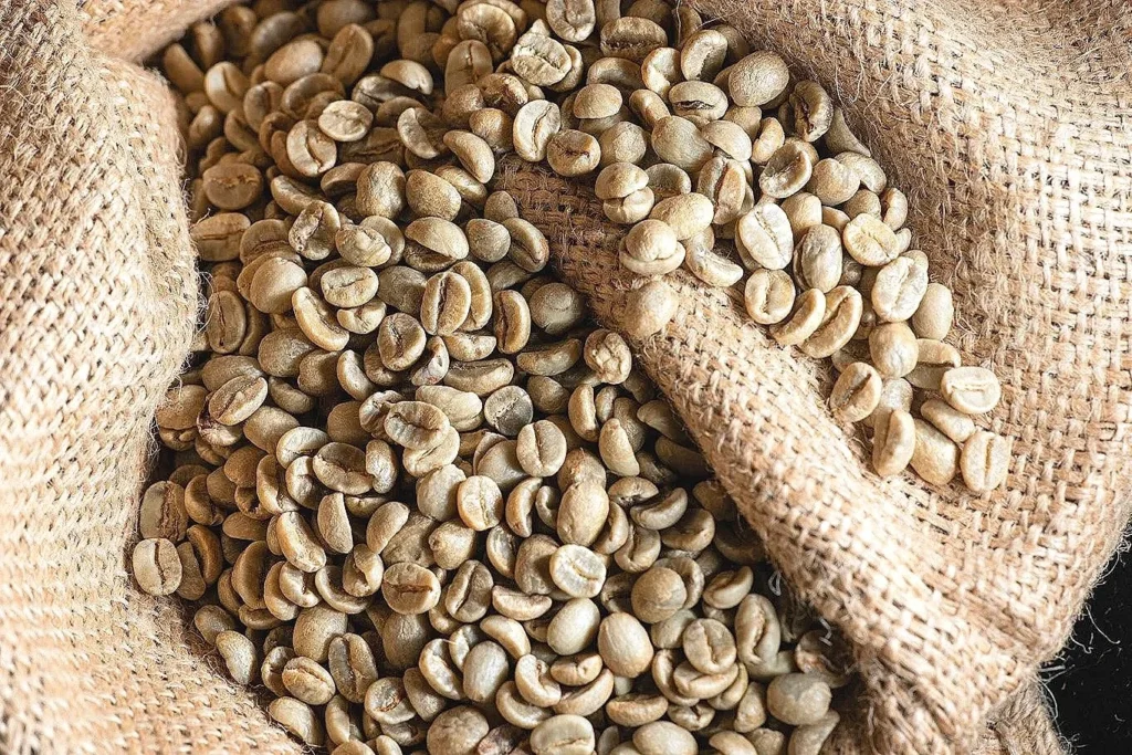 Vietnam Wet-Polished & Fine Robusta Green Coffee Beans