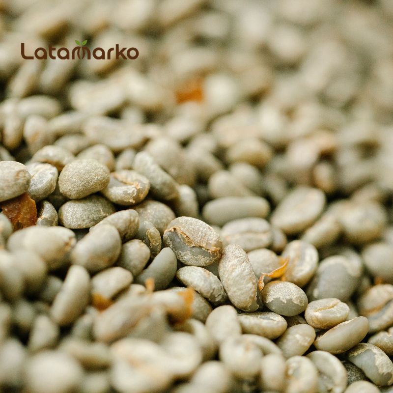 Best Green Coffee Beans for Commercial Roasting Best Green Coffee Beans for Commercial Roasting