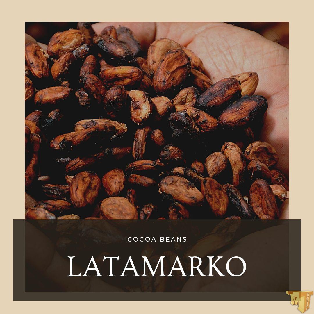 دانه کاکائو لاتامارکو