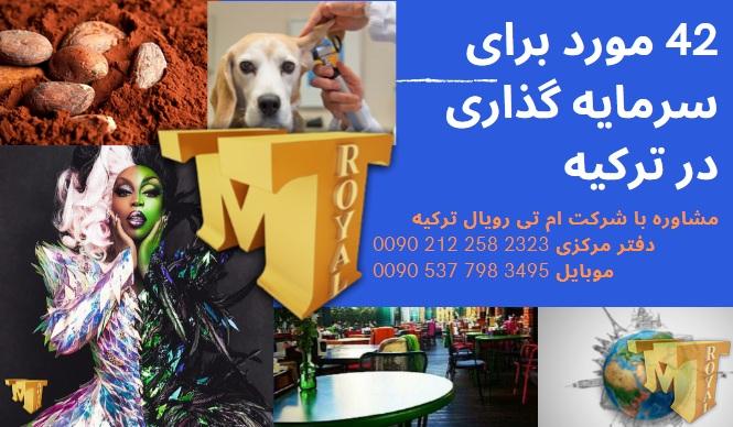 42 مورد سرمایه گذاری در ترکیه