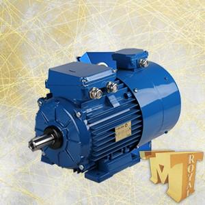 واردات الکترو موتور