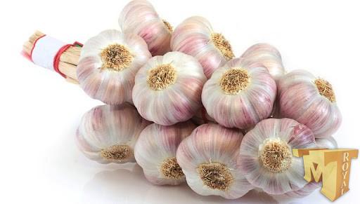 صادرات سیر به ترکیه