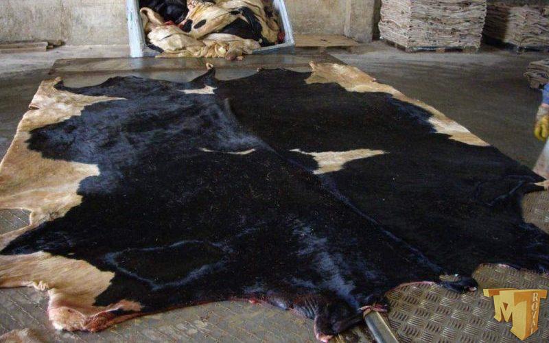 قیمت سالامبور در ترکیه قیمت سالامبور در ترکیه