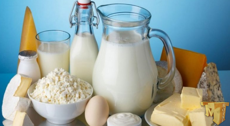 فرمنتوتک آلمان با بالاترین کیفیت