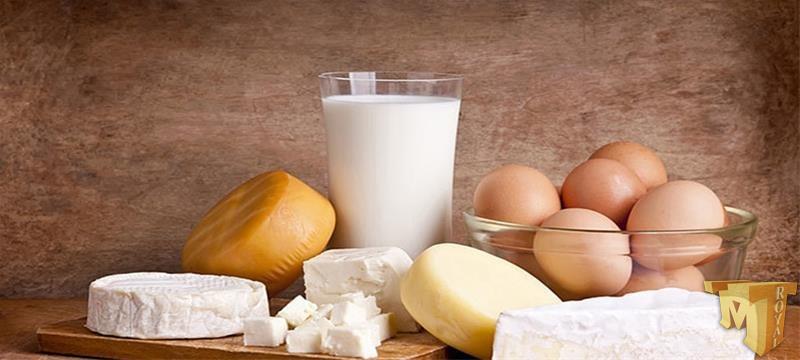 واردات لبنی هانسن