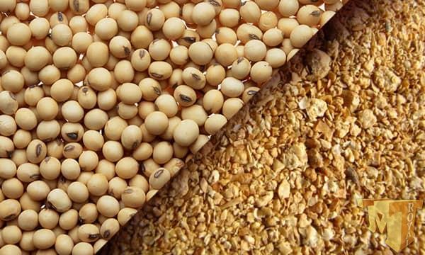 واردات کنجاله ی سویا