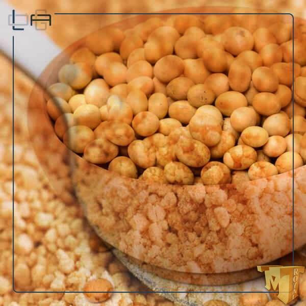 لستین سویا آرژانتینی