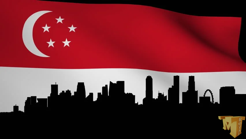 شرکت بازرگانی در سنگاپور