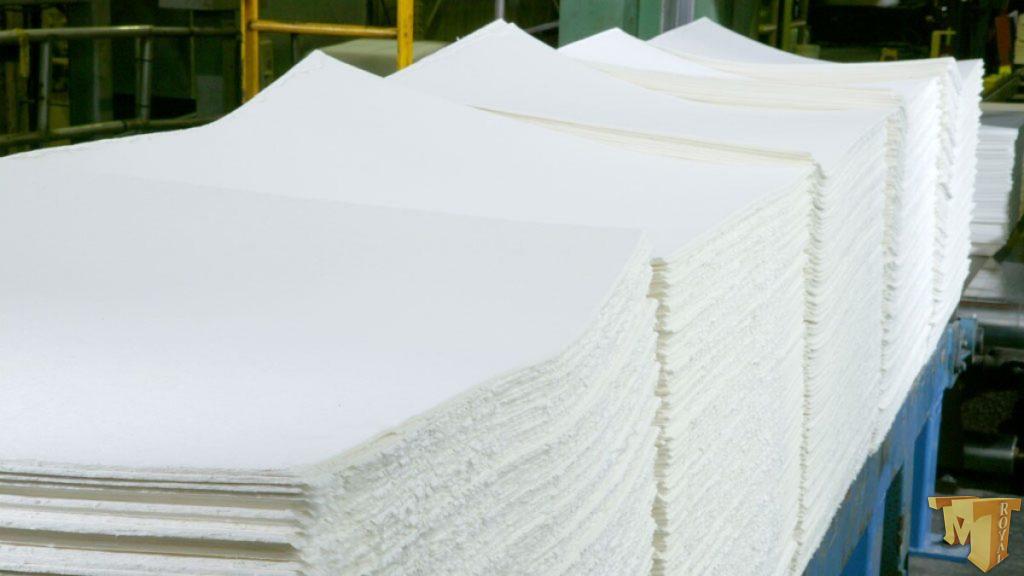 فلاف پالپ خارجی