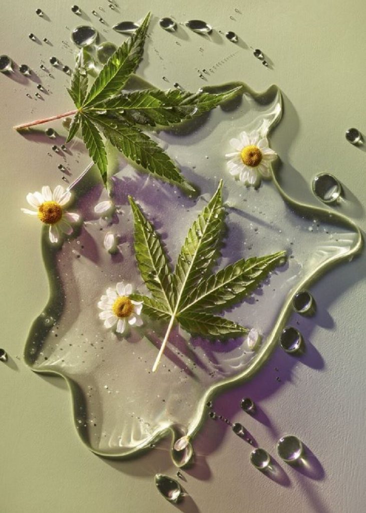 پلی الکترولیت