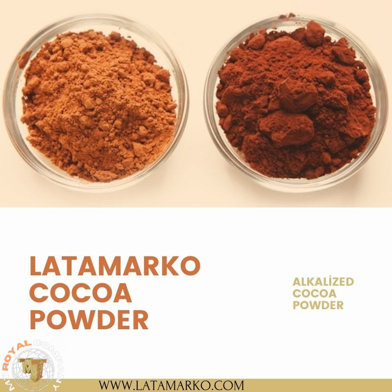 فروش عمده پودر کاکائو اسپانیا