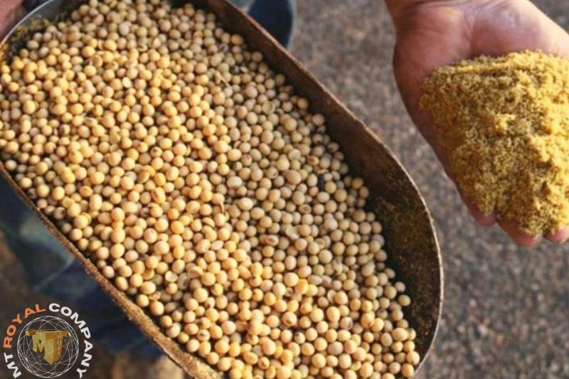 کنستانتره سویا