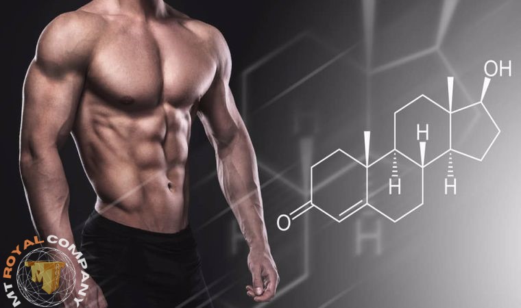 اسيد لاكتيك jindan