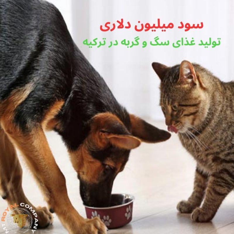 تولید غذای سگ و گربه در ترکیه