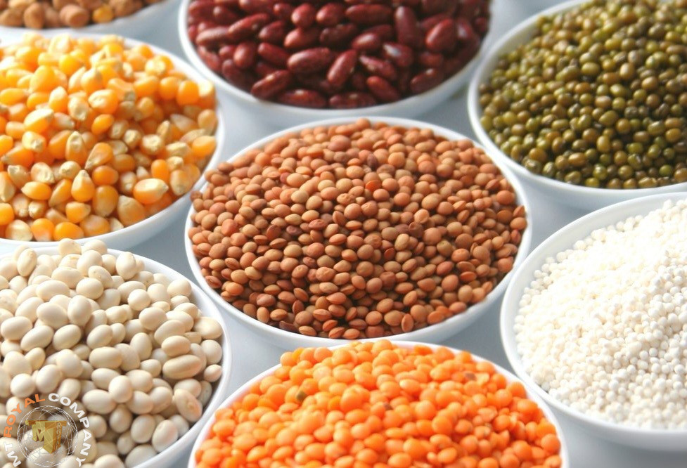 واردات حبوبات از روسیه