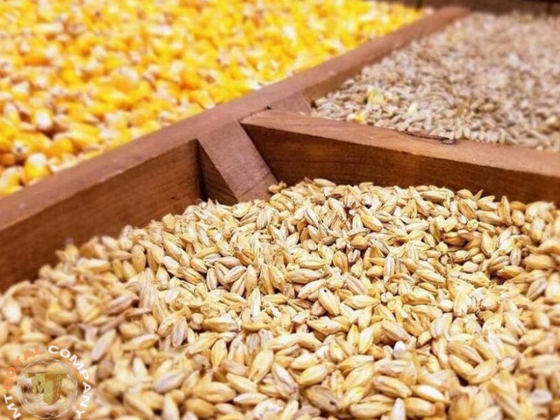 واردات نهاده های دامی