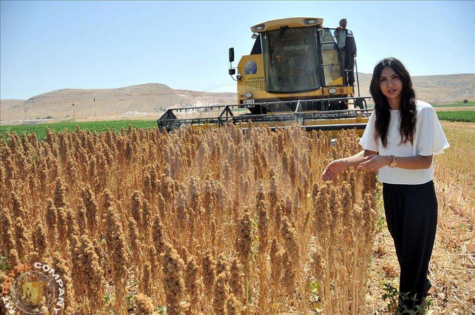 فروش زمین کشاورزی در ترکیه